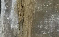 Detalle de la estructura dañada por la termita